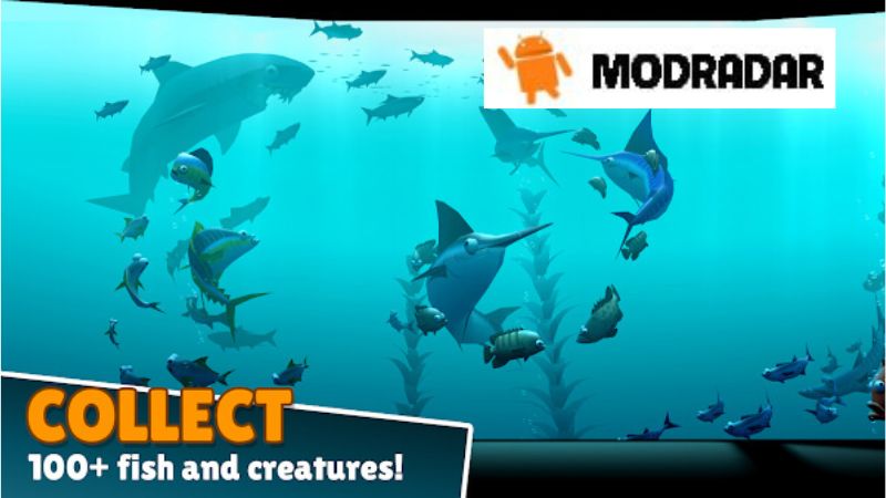 Creatures of the Deep: Fishing APK Cảnh quan trong tựa game Creatures of the Deep: Fishing APK