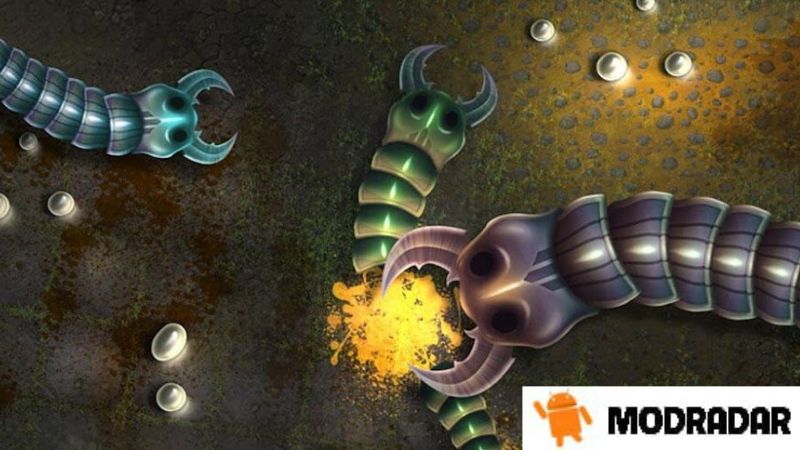 Insatiable Io Snakes 1 - Insatiable Io Snakes mod v3.6.9 (Unlimited Exp, Grow, Ghost) Insatiable Io Snakes 1 - Insatiable Io Snakes mod v3.6.9 (Unlimited Exp, Grow, Ghost)