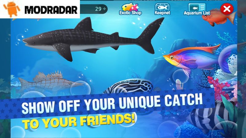 Những đặc điểm nổi bật có trong Fish Island APK