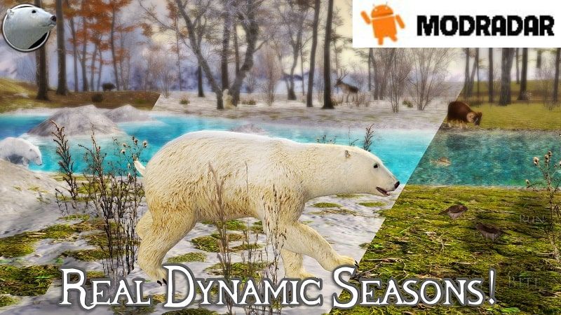 Polar Bear Simulator 2 mod Polar Bear Simulator 2 mod