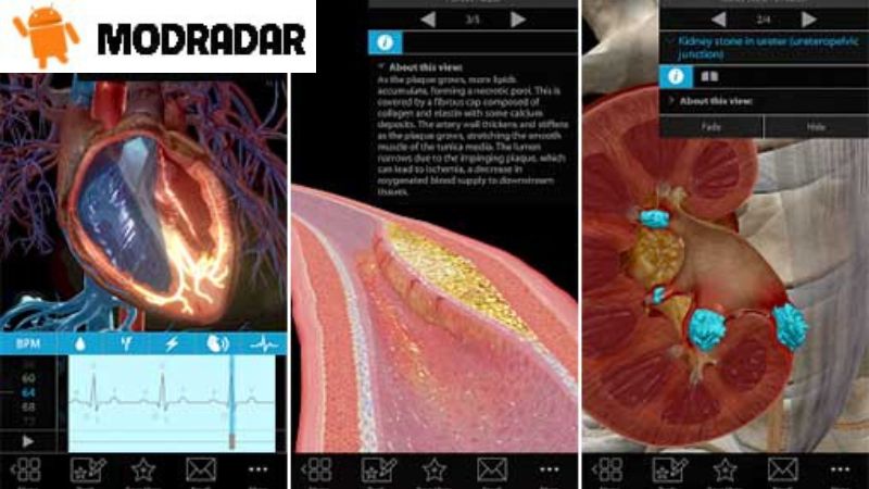 Physiology & Pathology Mod Outstanding features included in Physiology & Pathology Mod