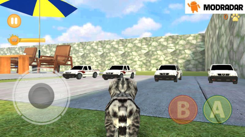 Kitten Cat Simulator Mod Areas in the game Kitten Cat Simulator Mod