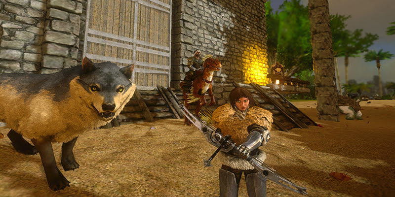 Playing with Other Hunters