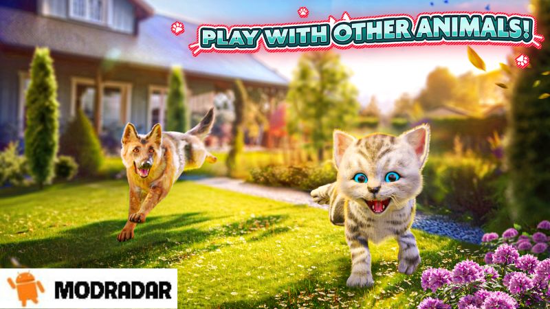 Cat Simulator 2 APK Cat Simulator 2 APK
