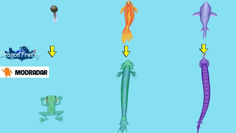 Dragon Frenzy APK Dragon Frenzy APK