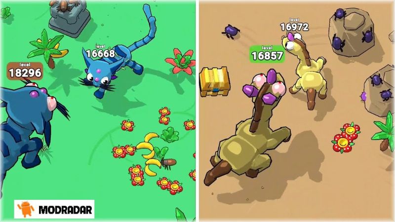 Eat and Evolve APK