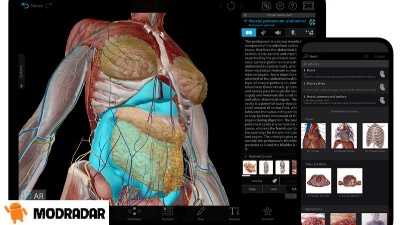 Human Anatomy Atlas 2025 Mod Introduction about Human Anatomy Atlas 2025 Mod