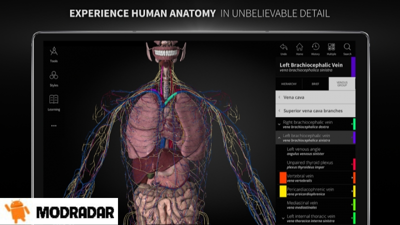 Human Anatomy Atlas 2025 Mod Anatomical map in the Human Anatomy Atlas 2025 Mod application