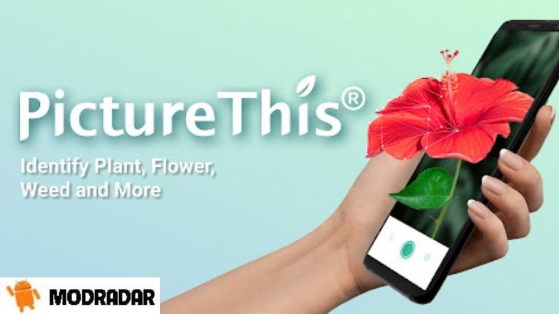 PictureThis Mod Giới thiệu về ứng dụng PictureThis Mod
