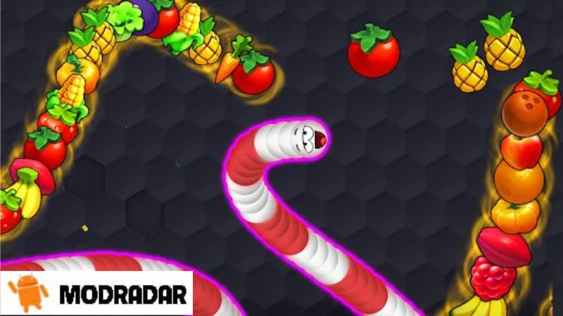 Snake Lite Mod Chạy thành vòng tròn khi chơi Snake Lite Mod