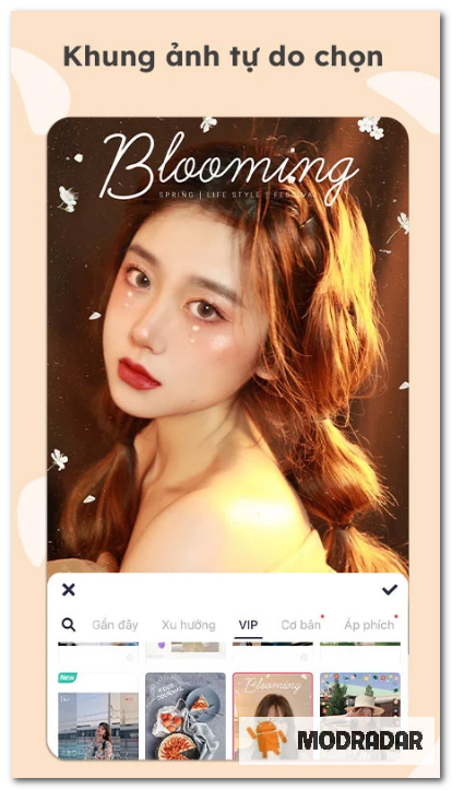 Meitu mod