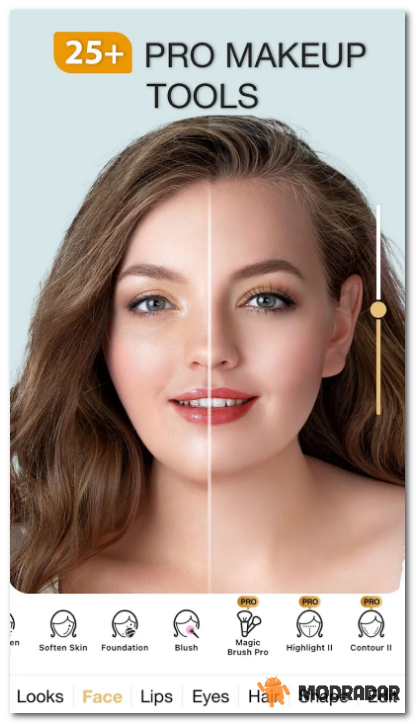Perfect365 Mod Apk Perfect365 Mod Apk