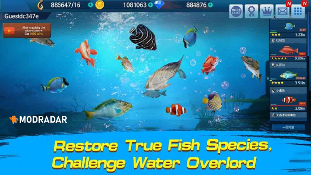 Fishing Championship Mod Tham gia vào những giải câu cá trên khắp đại dương rộng lớn