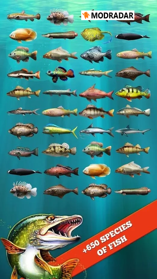 let%20fish2 - Let’s Fish mod (Câu cá nhanh, Dây câu không bị đứt) v6.5.3 Đa dạng điểm câu, các loài cá và cảnh quan.