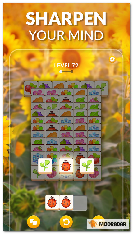 Zen Match Mod 