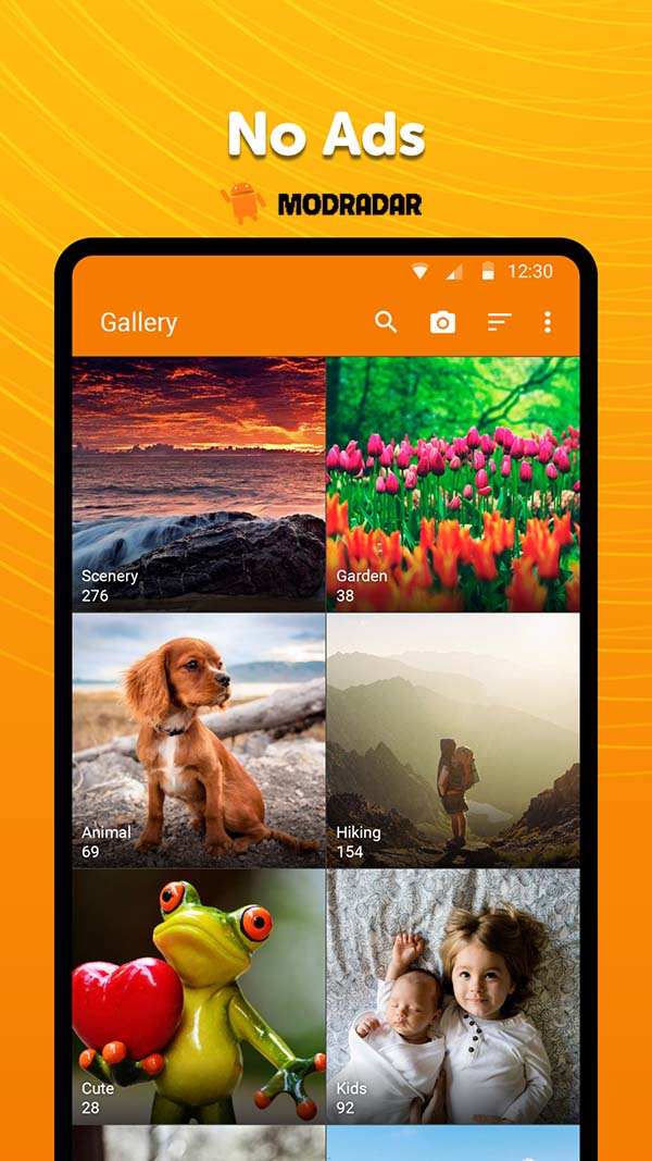 Simple Gallery Pro mod