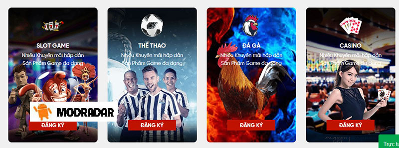 Winbet APK 
